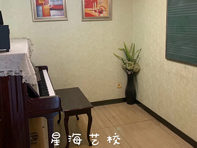 大陸陽光內部環境