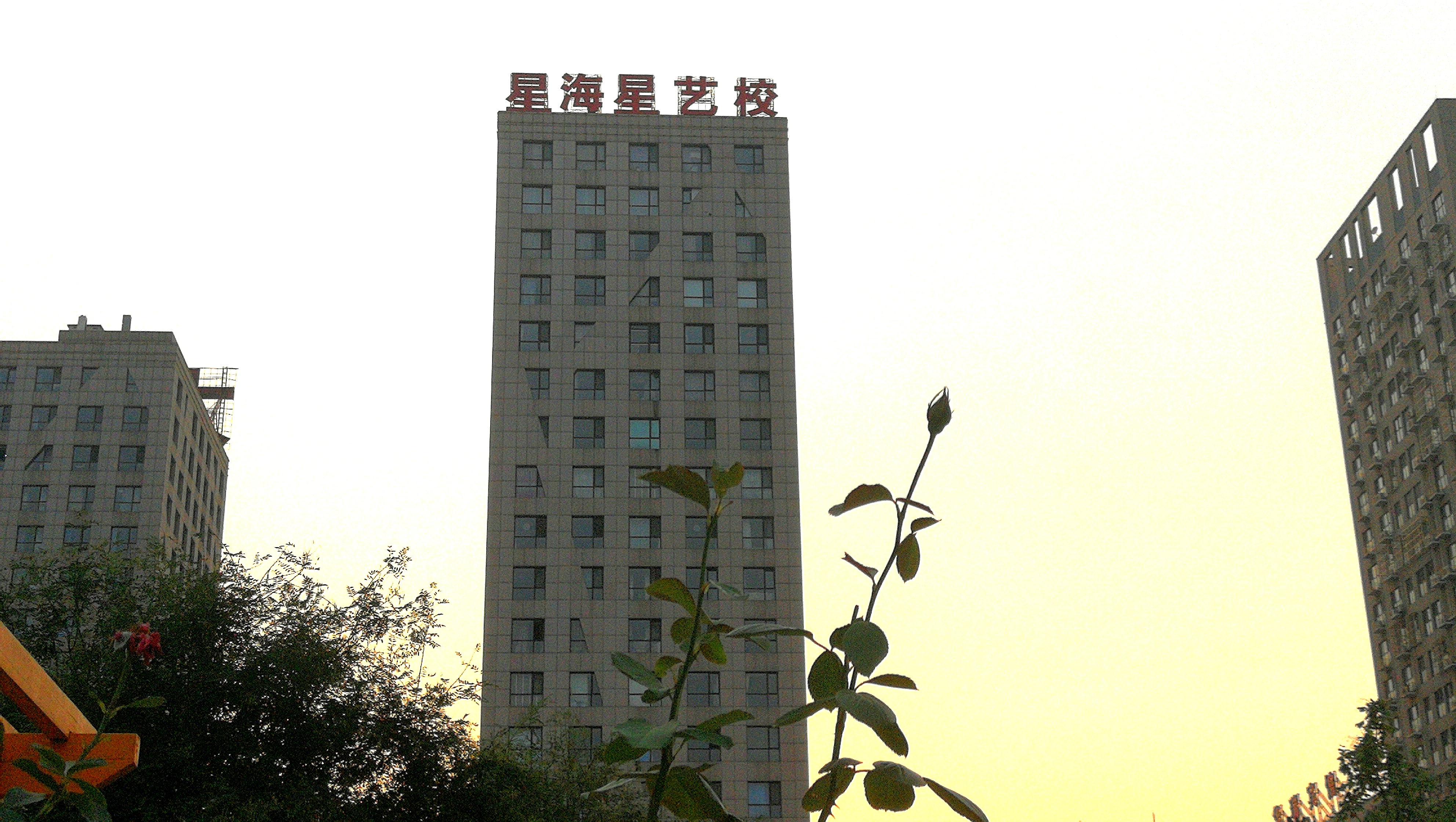 大陸陽光校區